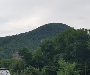 Апартаменты на заводской Zheleznovodsk Russia