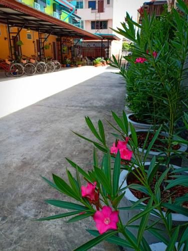 Hotel Photo 16
