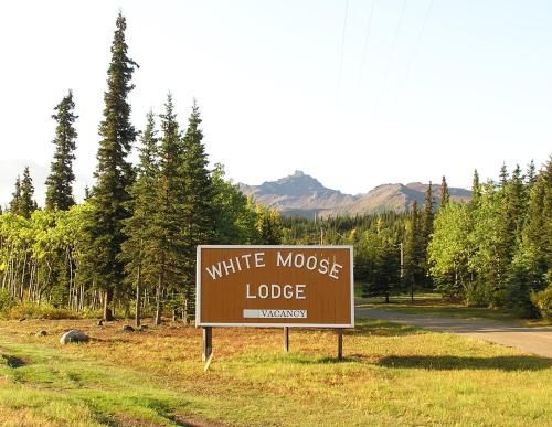 White Moose Lodge