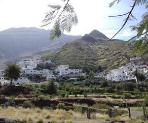 Lagarto Agaete Spain