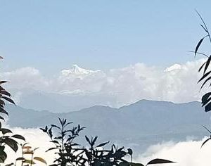 Vamoose Padma Dhotrey Darjeeling India
