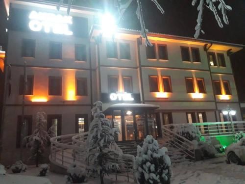 Hotel Photo 4