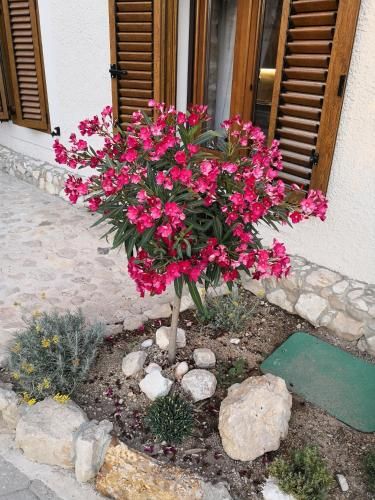 صورة الفندق 12
