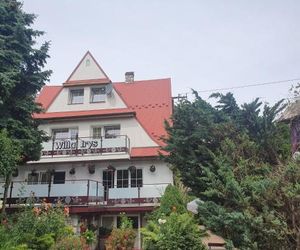 Willa Irys Bukowina Tatrzanska Poland