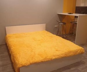 Bright Apartment in the Very Center of Novosibirsk Novosibirsk Russia