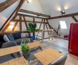 Beauty & The Beast - Old Town Cosy Apartments Colmar France