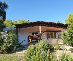 Villa Badde rosa Dorgali Italy