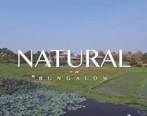 Natural bungalows Compon-lina Cambodia
