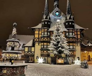 Ferienwohnung Holzmann Wernigerode Germany