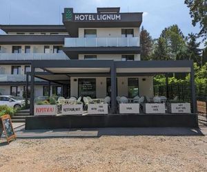 Lignum Hotel Miskolc Hungary