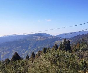 Vamoose Laligurash Darjeeling India