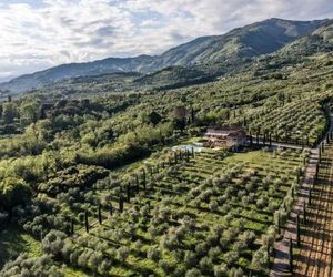Grande appartamento con vista e piscina Capannori Italy