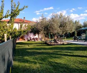 Cottage in the olive farm Chieti Italy