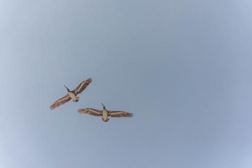 صورة الفندق 24