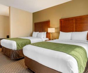 Comfort Inn & Suites Florence United States