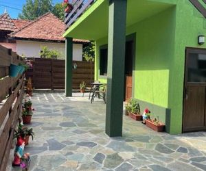 Green House Inn Calimanesti Romania