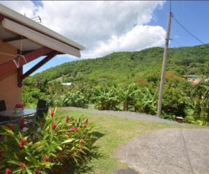 Bougain Fleuri DESHAIES Guadeloupe