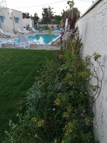 صورة الفندق 20