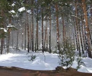 Căsuța din pădure Piatra Neamt Romania