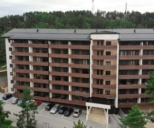 Vila Pekovic Apartman P8 Zlatibor Serbia