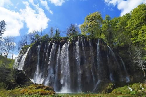 صورة الفندق 17