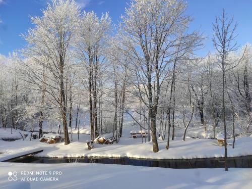 صورة الفندق 8