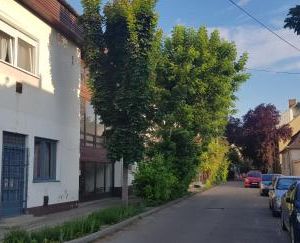 Lotti apartman Kiskunhalas Hungary
