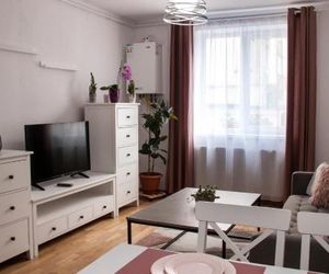 Ana Cristina Apartament Sighisoara Romania