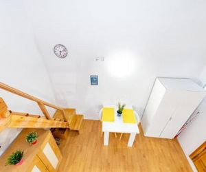 Duplex Lavapies 1BD Madrid Spain