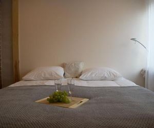 LiisuPesa Apartment with Sauna and Garden Parnu Estonia