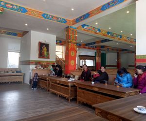 THE GRAND CHUBI HOTEL Leh India