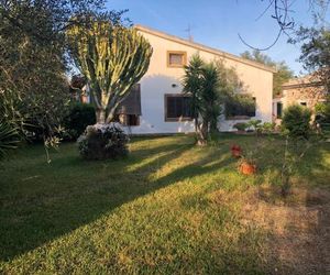 Olive tree villa Brucoli Italy