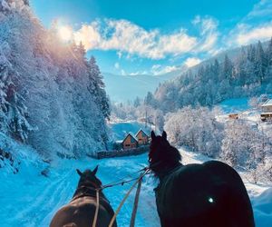 BagriWood Lodges (Лоджі БагріВуд) Yaremche Ukraine