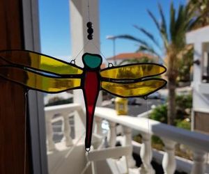 The Magic Dragonfly! Las Caletillas Spain