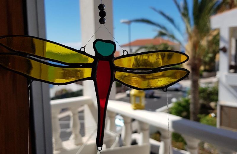 The Magic Dragonfly!