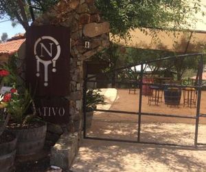 Nativo Guest House Sansoni Mexico