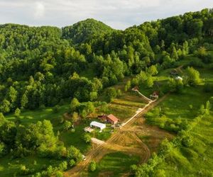 La Cabană Bucsenesti Romania