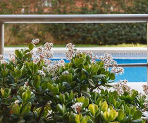 Luxury appartment by the sea (Barcelona) Castelldefels Spain