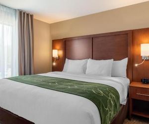 Comfort Inn & Suites Schenectady - Scotia Schenectady United States