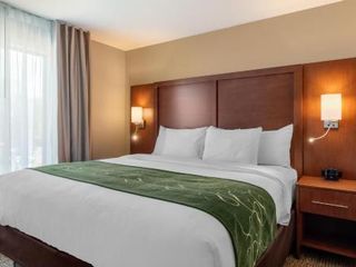 Hotel pic Comfort Inn & Suites Schenectady -Scotia