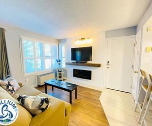 Slopeside Blue Mountain Condo - Wifi, Linens/Towels, Ski In/Out Blue Mountains Canada