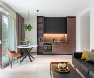 Modern boutique apartment in the city center Druskininkai Lithuania