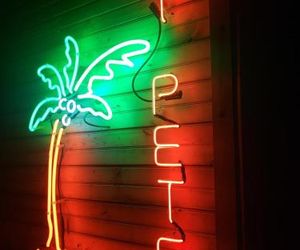 Comfy & Stylish Getaway Saint Petersburg United States