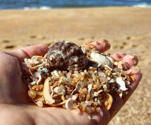 Pousada Dona Vanuza Balneario Camboriu Brazil