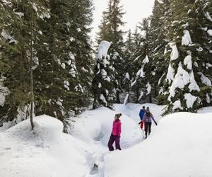 Trappers Landing #11 By Bear Country Sun Peaks Canada