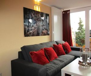 Chalet Platzhirsch Braunlage Germany