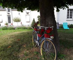 Chambres dHôtes de lIle du Saule Saumur France