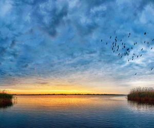 Manzini Holiday Resort St. Lucia Estuary South Africa