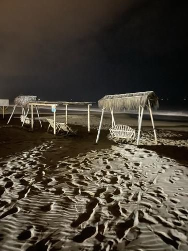 صورة الفندق 12