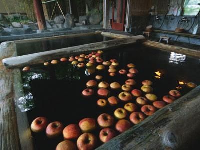 صورة الفندق 1